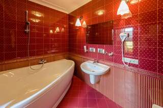 Отель Franz Hotel Ивано-Франковск Двухместный номер Делюкс с 1 кроватью и ванной-1